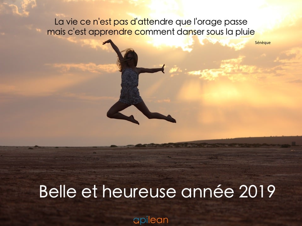 Belle et heureuse année 2019