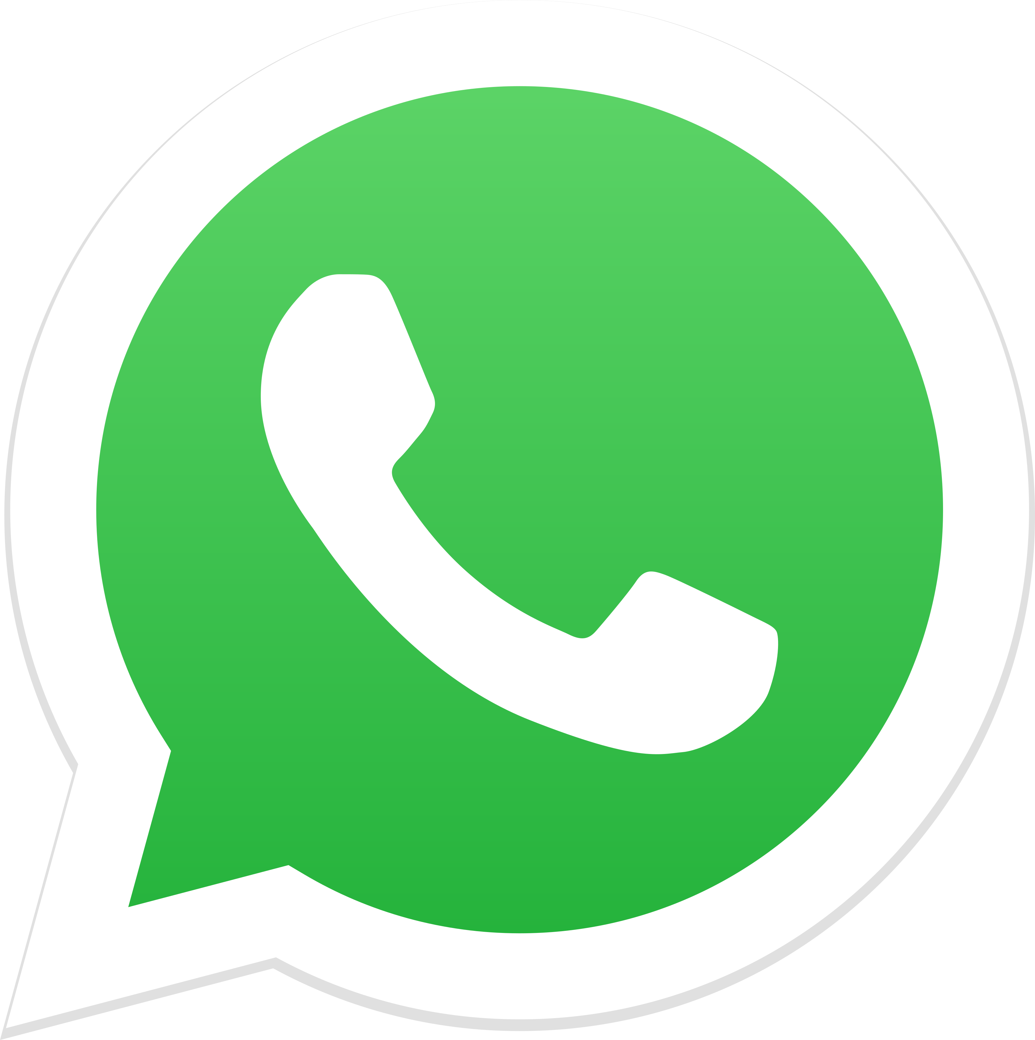 whatsapp-logo-1 | APILEAN